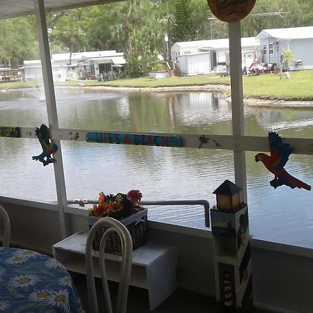 Oak Springs Rv Resort Port Richey Buitenkant foto